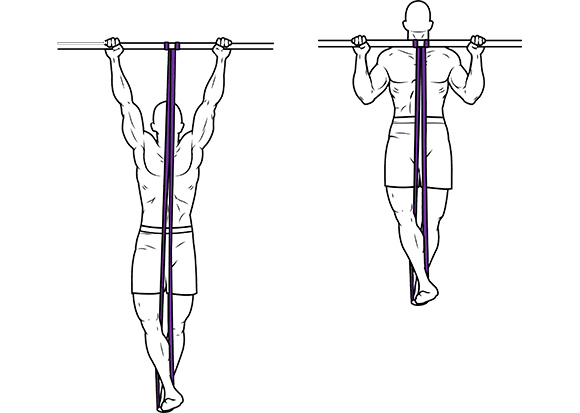 Muscles used in pull ups diagram